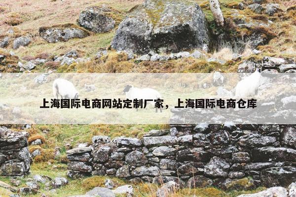 上海国际电商网站定制厂家，上海国际电商仓库