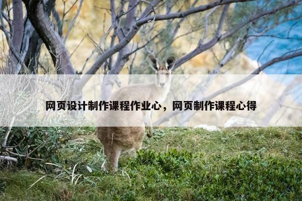 网页设计制作课程作业心，网页制作课程心得