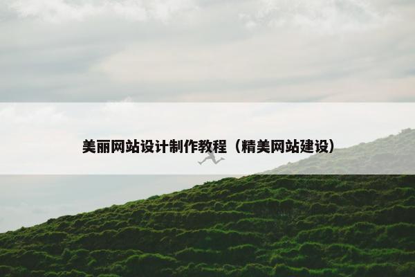 美丽网站设计制作教程（精美网站建设）