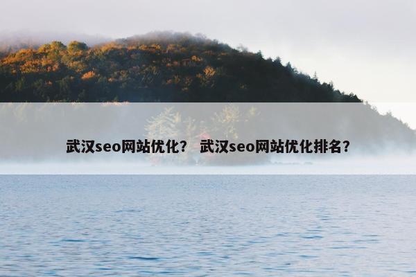 武汉seo网站优化？ 武汉seo网站优化排名？