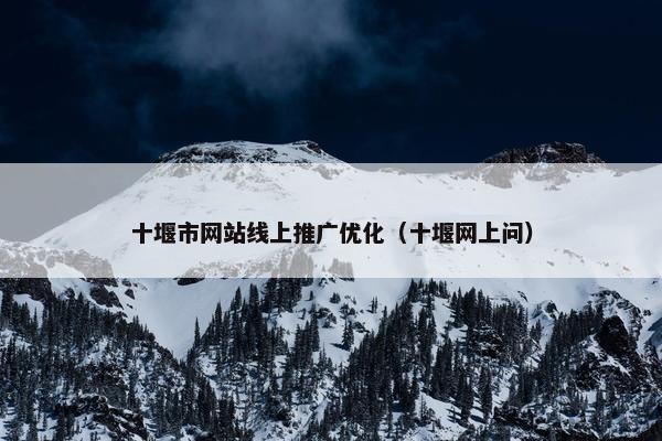 十堰市网站线上推广优化（十堰网上问）