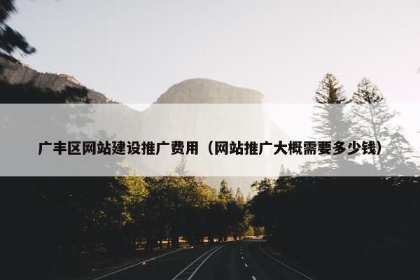 广丰区网站建设推广费用（网站推广大概需要多少钱）