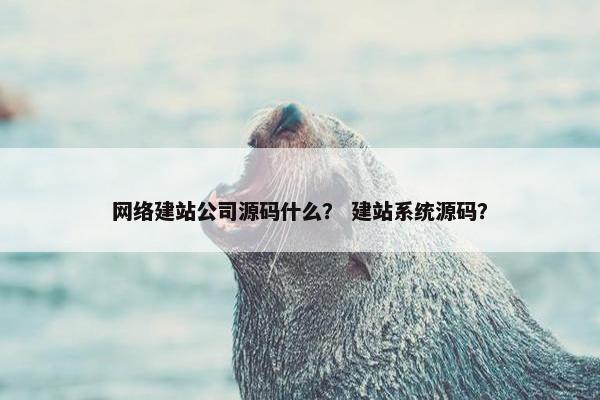 网络建站公司源码什么？ 建站系统源码？