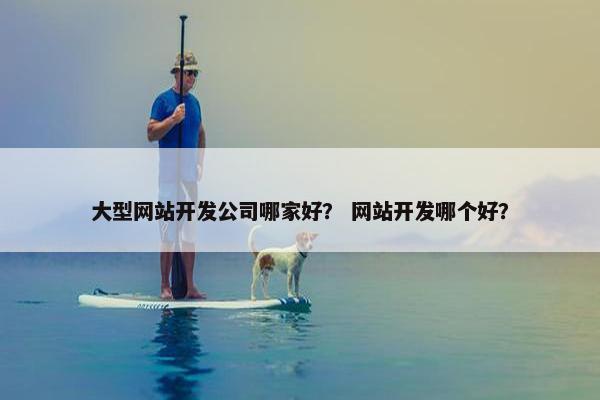 大型网站开发公司哪家好？ 网站开发哪个好？