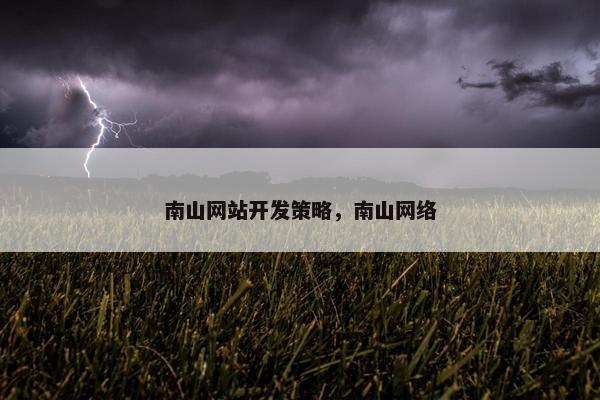 南山网站开发策略，南山网络