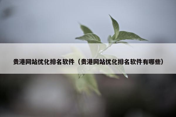 贵港网站优化排名软件（贵港网站优化排名软件有哪些）