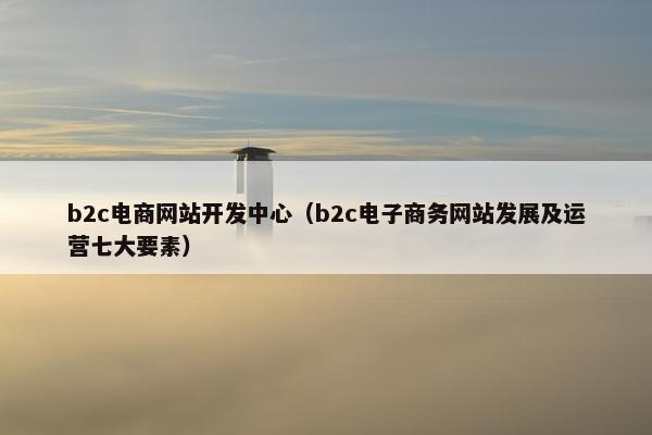 b2c电商网站开发中心（b2c电子商务网站发展及运营七大要素）