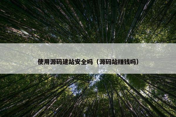 使用源码建站安全吗（源码站赚钱吗）