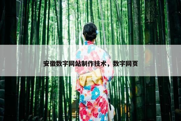 安徽数字网站制作技术，数字网页