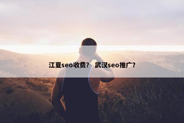 江夏seo收费？ 武汉seo推广？