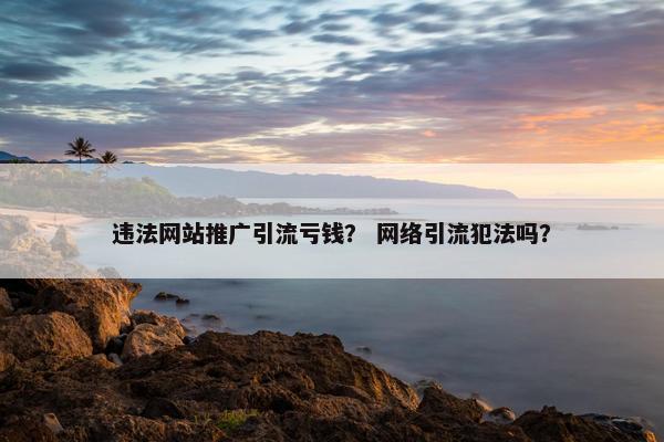 违法网站推广引流亏钱? 网络引流犯法吗? 违法网站推广引流亏钱? 网络引流犯法吗?