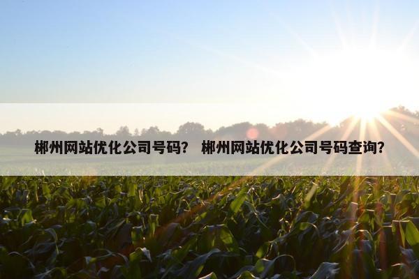郴州网站优化公司号码？ 郴州网站优化公司号码查询？