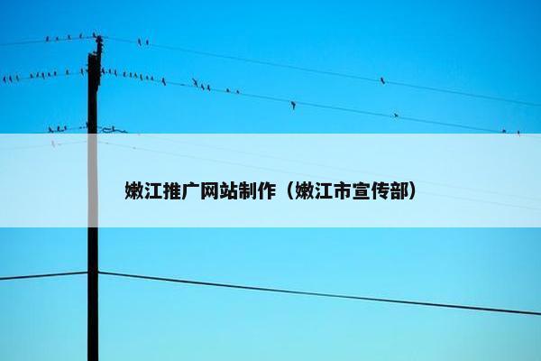 嫩江推广网站制作（嫩江市宣传部）