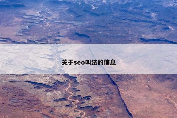 关于seo叫法的信息