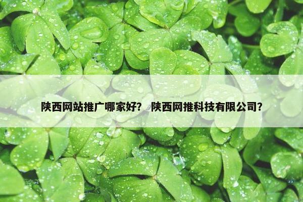 陕西网站推广哪家好？ 陕西网推科技有限公司？