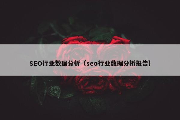 SEO行业数据分析（seo行业数据分析报告）
