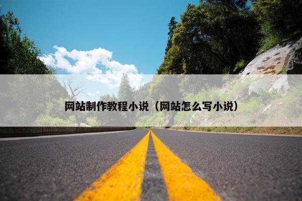 网站制作教程小说（网站怎么写小说）