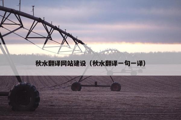 秋水翻译网站建设（秋水翻译一句一译）