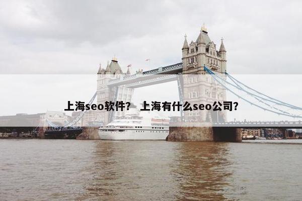 上海seo软件? 上海有什么seo公司? 上海seo软件? 上海有什么seo公司?