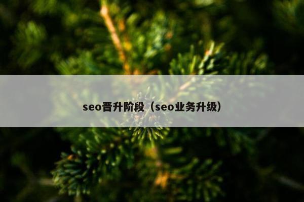 seo晋升阶段（seo业务升级）