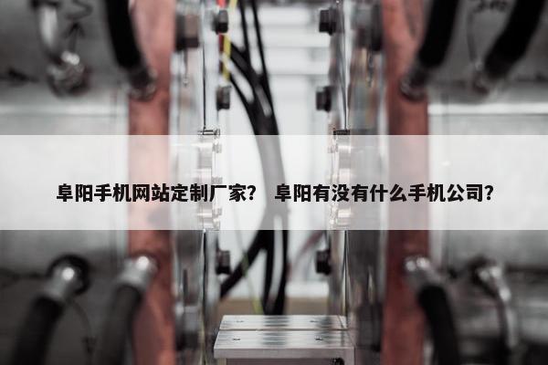 阜阳手机网站定制厂家？ 阜阳有没有什么手机公司？