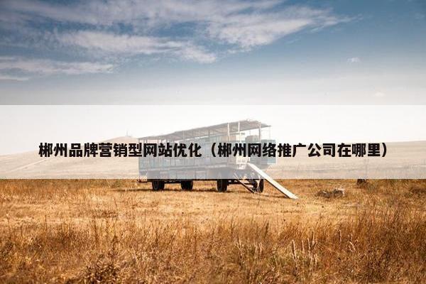 郴州品牌营销型网站优化（郴州网络推广公司在哪里）