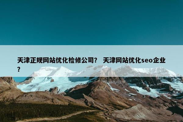 天津正规网站优化检修公司？ 天津网站优化seo企业？
