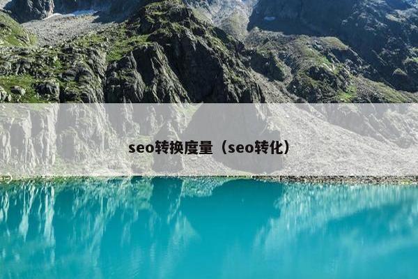seo转换度量（seo转化）