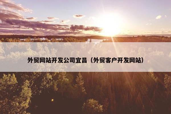 外贸网站开发公司宜昌（外贸客户开发网站）