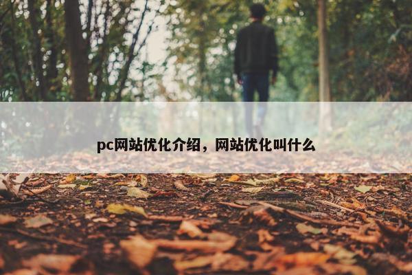 pc网站优化介绍，网站优化叫什么