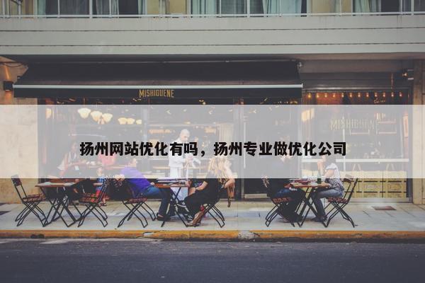 扬州网站优化有吗，扬州专业做优化公司