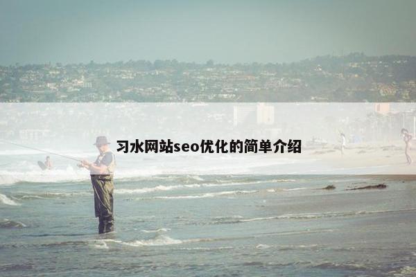 习水网站seo优化的简单介绍