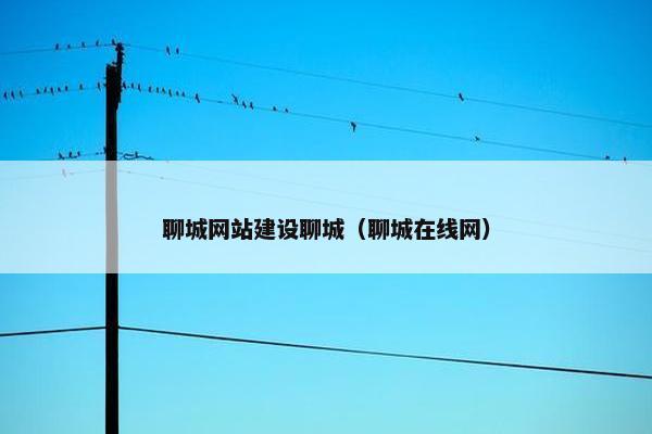 聊城网站建设聊城（聊城在线网）