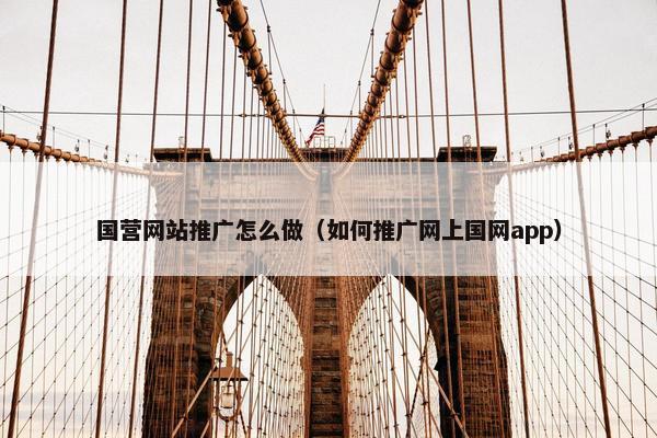 国营网站推广怎么做（如何推广网上国网app）