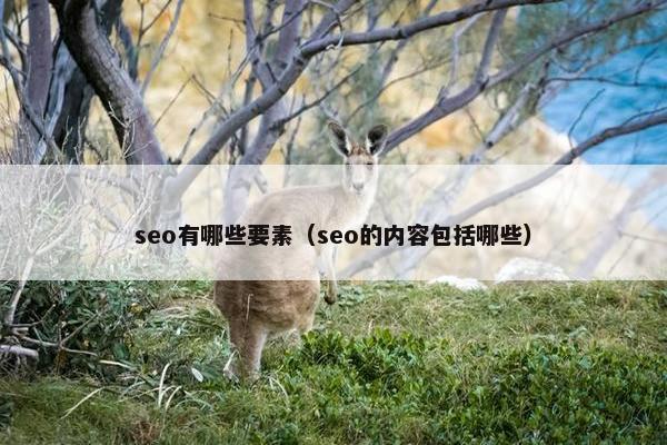 seo有哪些要素（seo的内容包括哪些）