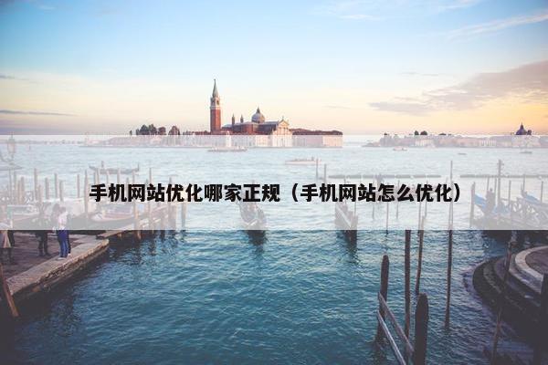 手机网站优化哪家正规（手机网站怎么优化）