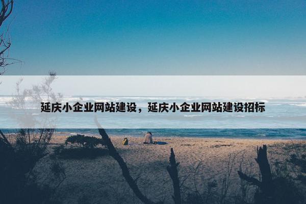 延庆小企业网站建设，延庆小企业网站建设招标