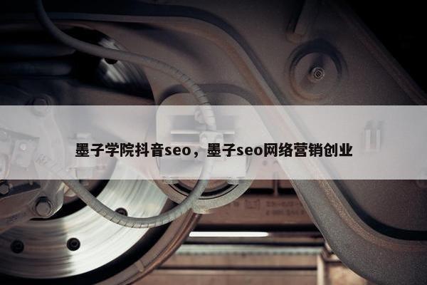 墨子学院抖音seo，墨子seo网络营销创业