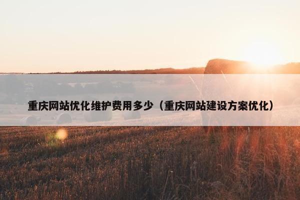 重庆网站优化维护费用多少（重庆网站建设方案优化）