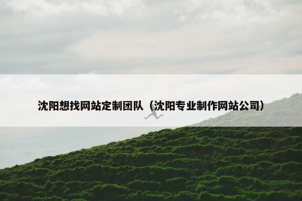 沈阳想找网站定制团队（沈阳专业制作网站公司）