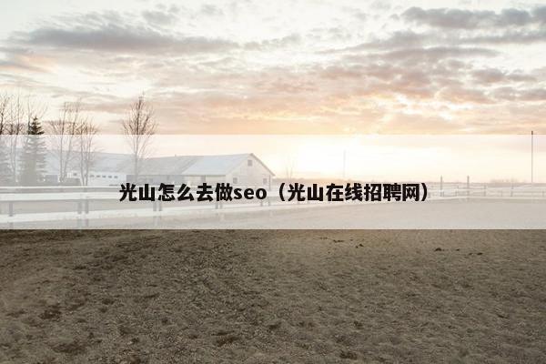 光山怎么去做seo（光山在线招聘网）