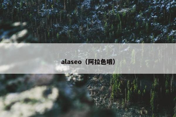alaseo(阿拉色哦) alaseo(阿拉色哦)
