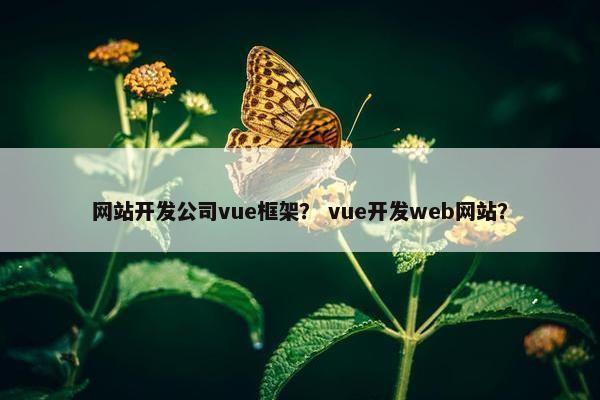 网站开发公司vue框架？ vue开发web网站？
