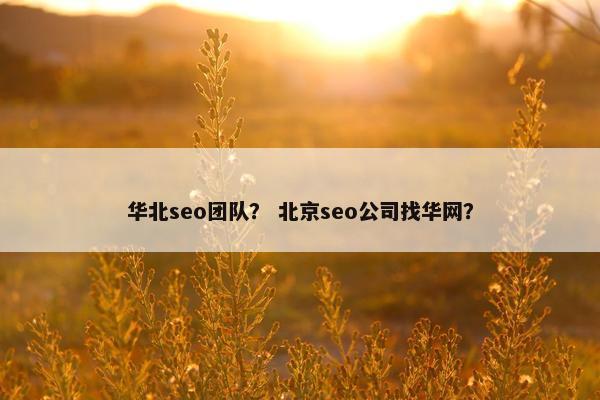 华北seo团队？ 北京seo公司找华网？