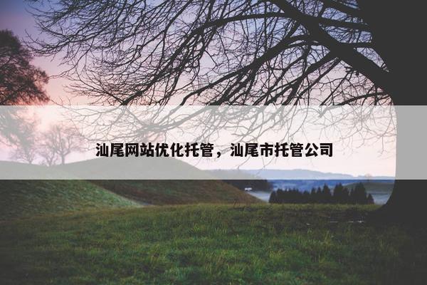 汕尾网站优化托管，汕尾市托管公司