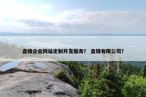盘锦企业网站定制开发服务？ 盘锦有限公司？