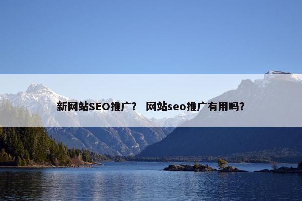 新网站SEO推广? 网站seo推广有用吗? 新网站SEO推广? 网站seo推广有用吗?