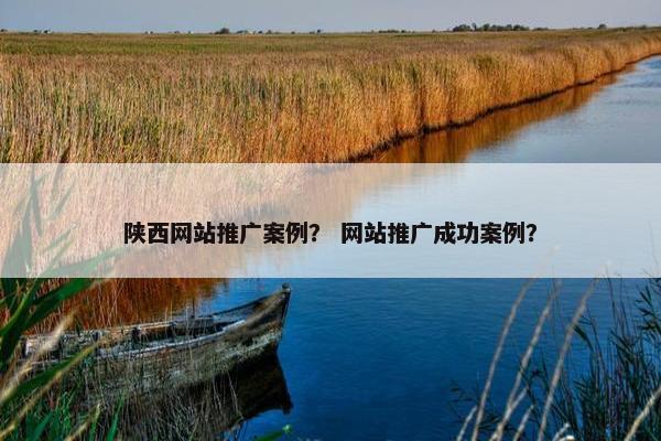 陕西网站推广案例？ 网站推广成功案例？
