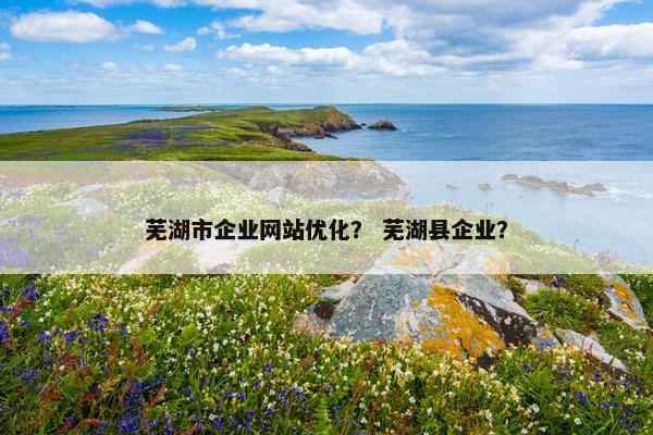 芜湖市企业网站优化？ 芜湖县企业？