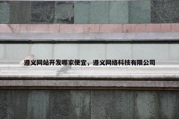 遵义网站开发哪家便宜，遵义网络科技有限公司